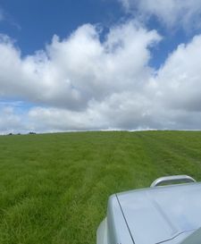 Instagram post by @taannr