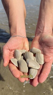 Instagram post by @taannr