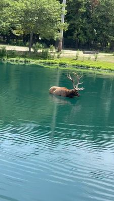 Instagram post by @tasteslikecrack