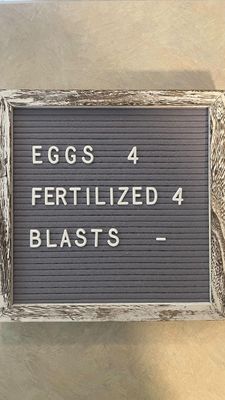 Instagram post by @taylor.ortolani