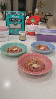 Instagram post by @thebbkitties