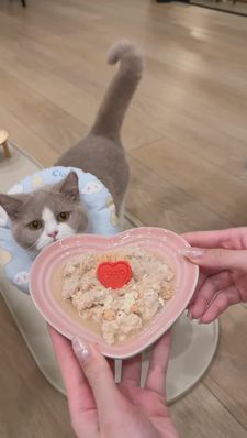 Instagram post by @thebbkitties