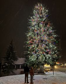 Instagram post by @theboisebubble