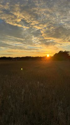 Instagram post by @thecharlestonlens