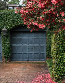 Instagram post by @thecharlestonlens