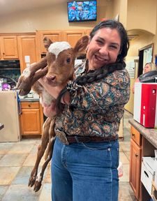 Instagram post by @thehannahbates