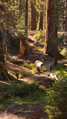 Instagram post by @thejourneyest2016