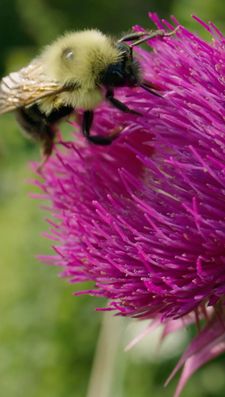 Instagram post by @thekrattbrothers