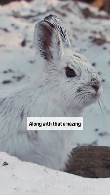 Instagram post by @thekrattbrothers