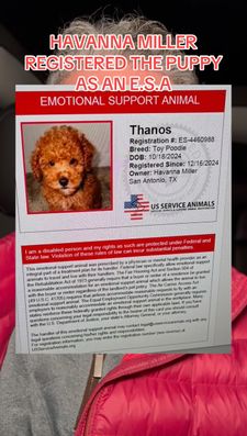 Instagram post by @therealpaulmueller