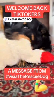 Instagram post by @therealpaulmueller