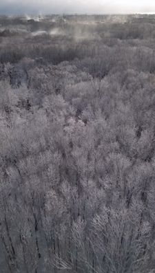 Instagram post by @timmytorchia