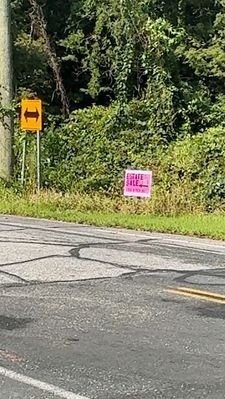 Instagram post by @tysoncurates