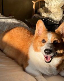 Instagram post by @valeriadelrey