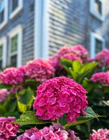 Instagram post by @vincentfestatenor