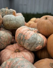 Instagram post by @vincentfestatenor