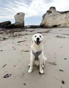 Instagram post by @wallenthegoodboy