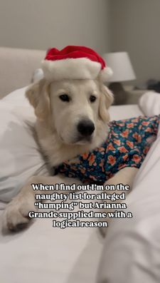 Instagram post by @wallenthegoodboy