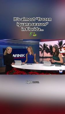 Instagram post by @weatherwithlauren