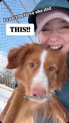 Instagram post by @whiskeytoller