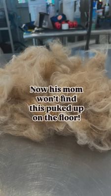 Instagram post by @whitneybullockcfmg