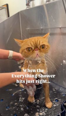 Instagram post by @whitneybullockcfmg