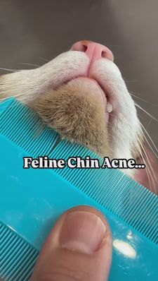 Instagram post by @whitneybullockcfmg