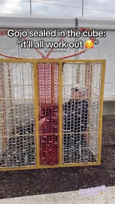 Instagram post by @wholewheatpeet