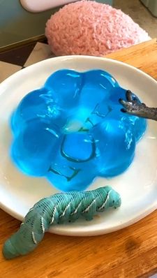 Instagram post by @whosagoodlizard