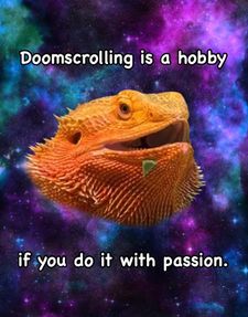 Instagram post by @whosagoodlizard