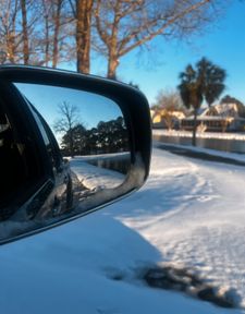 Instagram post by @wiffles