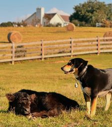 Instagram post by @william_mclure