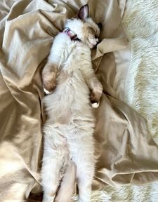 Instagram post by @willowdeaux