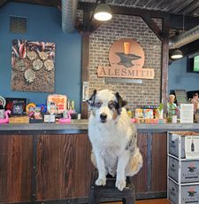 Instagram post by @wizardbeerdog