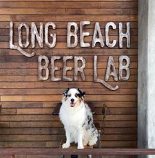 Instagram post by @wizardbeerdog