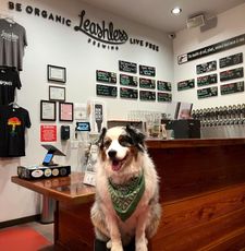 Instagram post by @wizardbeerdog