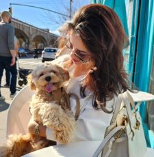 Instagram post by @yoshi_thecavapoo