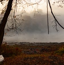 Instagram post by @yvonnetnt