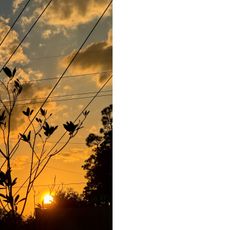 Instagram post by @zacktoolitty